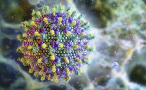 Ministério da Saúde afirma que o vírus Nipah não ameaça o Brasil